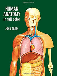 Anatomia Ludzka w Pełnym Kolorze